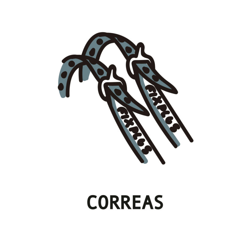 CORREAS/STRAPS