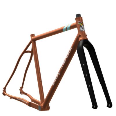CUADRO STRASBOURG EDDY MERCKX
